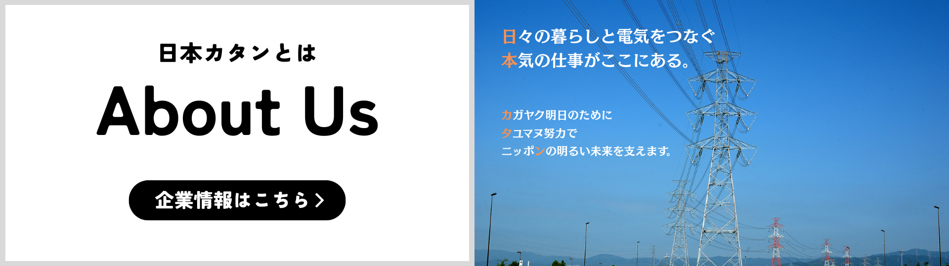 企業情報